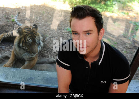 Stephen Gately si impegna a sostenere la conservazione beneficenza 21st Century Tiger, per sensibilizzare le tigri alla minaccia di estinzione, allo Zoo di Londra. Foto Stock