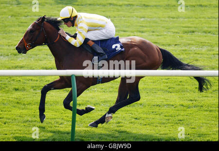 Horse Racing - Newmarket Racecourse Foto Stock