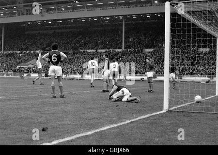 Calcio - Football League Cup - finale - Aston Villa v Tottenham Hotspur Foto Stock