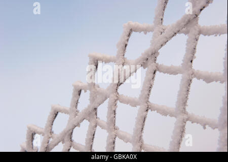 Recinzione ad anelli ricoperti di brina, Svezia, Europa Foto Stock