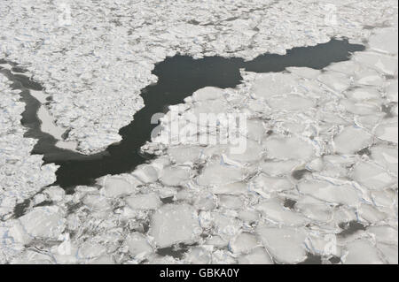 Lastre di ghiaccio, Svezia, Europa Foto Stock