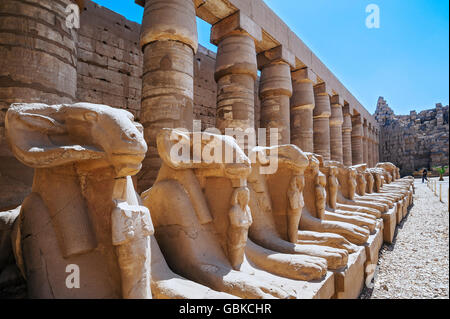 Avenue di ram-guidato sfingi di Tempio di Karnak, Karnak Luxor Egitto Foto Stock