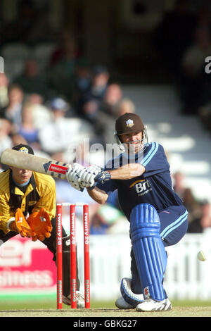 Cricket - Twenty20 Cup - Surrey Lions contro Kent Spitfires. Greg Bewett dei Lions di Surrey gioca un colpo Foto Stock