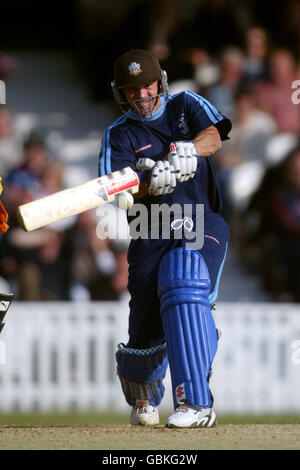 Cricket - Twenty20 Cup - Surrey Lions contro Kent Spitfires. Greg Bewett dei Lions di Surrey gioca un colpo Foto Stock