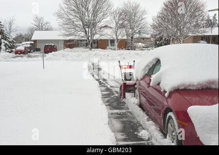 La rimozione di neve dalla coperta di neve carraio e auto. Foto Stock