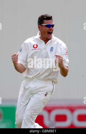 Cricket - npower secondo Test - Inghilterra / West Indies - Day Three. Ashley Giles in Inghilterra celebra la presa del cazzo di Shivnarine Chanderpaul delle Indie Occidentali per il 45, catturato da Robert Key Foto Stock