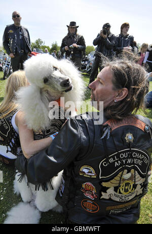 Oliver il poodle, vestito con la sua giacca bikers, con il suo proprietario, Robert Gunson, da Sheffield, a Lodmoor County Park, Warmwell Leisure Centre, Warmwell, vicino Dorchester, Dorset durante il Harley Davidson Owners Group annuale bike ride membri si incontrano. Foto Stock