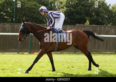 Horse Racing - Nottingham Racecourse Foto Stock