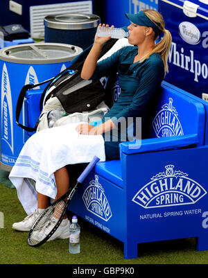 Tennis - AEGON Classic - Giorno 3 - Edgbaston Priory Club Foto Stock