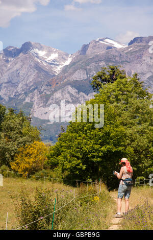 Donna che cammina sulle colline vicino a San Pedro de Bedoya in Picos de Europa Mountains Spagna settentrionale Foto Stock