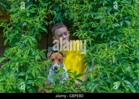 Ragazzo sorridente con il cane su treehouse. L'estate! Foto Stock