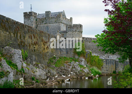 Castello di Cahir, Caher, Castello di Cahir, Irlanda Foto Stock