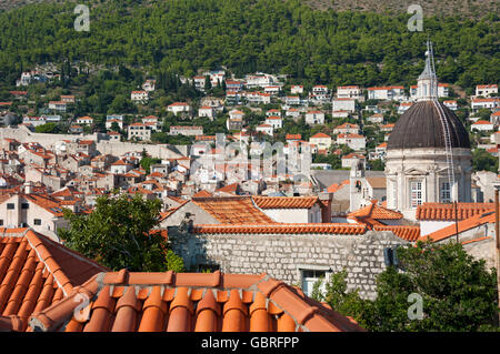 Cattedrale, vista dalla parete della città attraverso città storica, città vecchia, Dubrovnik, Dalmazia, Croazia / Cattedrale dell Assunzione Foto Stock