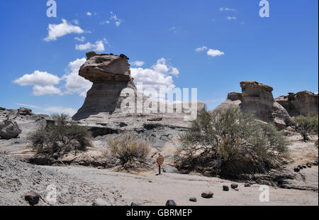 La esfinge (sphinx). Ischigualasto Parco Provinciale (Valle de la Luna).Il parco naturale situato nel nord-est della provincia Foto Stock