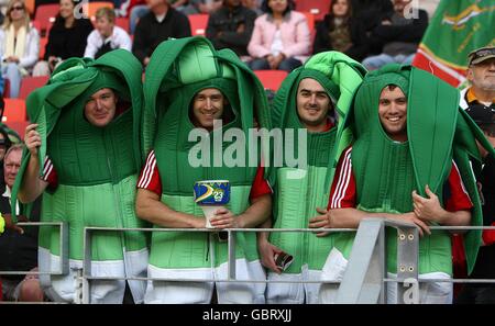 Rugby Union - Tour Match - Southern Kings v britannico e irlandese - Lions Nelson Mandela Bay Stadium Foto Stock