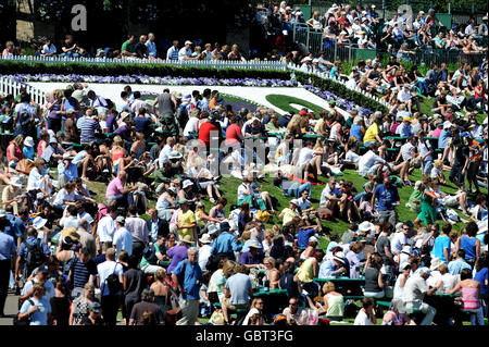 Tennis - 2009 Wimbledon Championships - Day Two - The All England Lawn Tennis and Croquet Club. Abbronzanti sul Monte Murray durante i Campionati di Wimbledon 2009 all'All England Lawn Tennis and Croquet Club, Wimbledon, Londra. Foto Stock