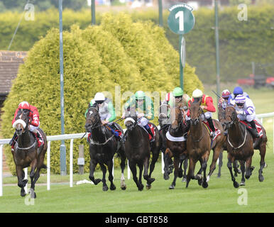 Horse Racing - Totepool giorno irlandese - Sandown Racecourse Foto Stock