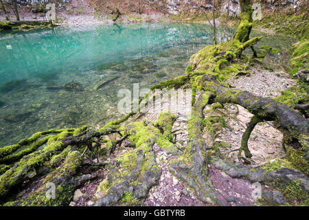 La Slovenia, Zgornja Idrijca Parco Naturale, il lago Divje jezero o Lago Selvaggio è una molla carsica del tipo Vauclusian. Foto Stock