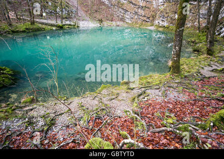 La Slovenia, Zgornja Idrijca Parco Naturale, il lago Divje jezero o Lago Selvaggio è una molla carsica del tipo Vauclusian. Foto Stock