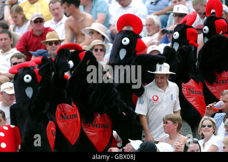 Cricket - seconda prova npower - Inghilterra / Indie occidentali - terzo giorno. Fan in abito elegante Foto Stock