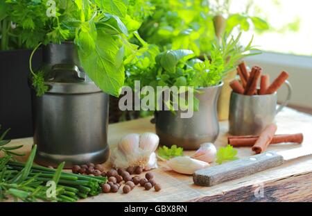 Erbe e spezie in legno tavolo rustico in cucina Foto Stock