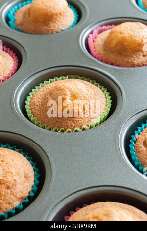 Freschi di forno tortini di spugna o torte di fata in un muffin tin direttamente dal forno Foto Stock