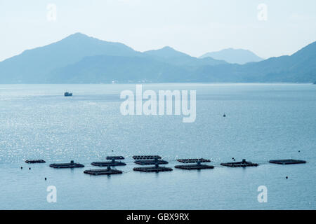 L'allevamento delle ostriche in Seto Inland Sea, Giappone. Foto Stock