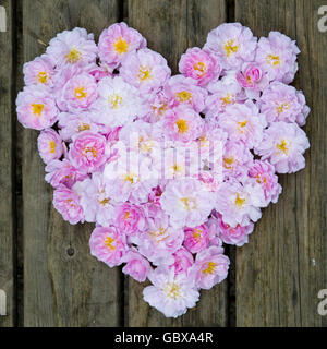 Cuore delle Rose Foto Stock