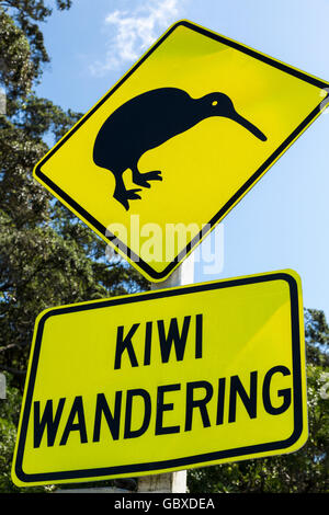 Avviso di Kiwi cartello stradale, Whakatane, Isola del nord, Nuova Zelanda Foto Stock