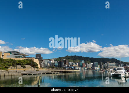 Lo skyline di Wellington e il Te Papa Museum, Nuova Zelanda Foto Stock