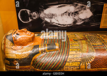 Inghilterra, Oxfordshire, Oxford, Pitt Rivers Museum, Display della mummia egiziana Foto Stock