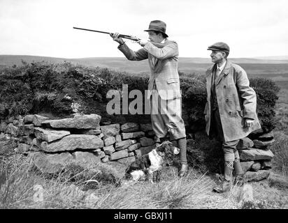 Il duca di Devonshires Grouse Shooting Party su Bolton Abbey Moors; l'onorevole Robert Cecil prende un colpo, accompagnato dal suo caricatore e un re Charles Spaniel. Foto Stock