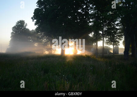 Alba la luce del sole dietro gli alberi con i raggi di luce del sole che splende attraverso oltre il paesaggio con campo Foto Stock