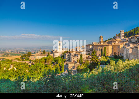 Vista panoramica del centro storico di Assisi a beautiful Golden. La luce del mattino al sorgere del sole in estate, Umbria, Italia Foto Stock