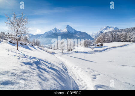 Idilliaco paese delle meraviglie invernali paesaggi con alberi e cime delle Alpi in una giornata di sole con cielo blu e nuvole Foto Stock