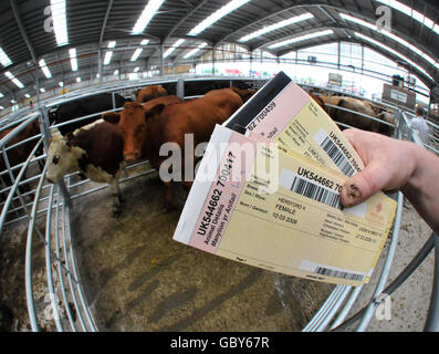 Regno aste Stirling centro agricolo Foto Stock