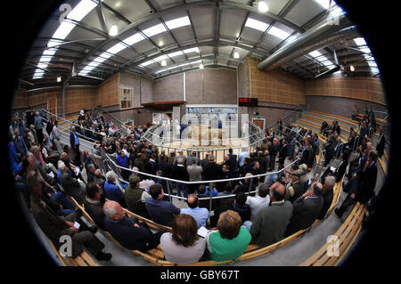 Regno aste Stirling centro agricolo Foto Stock