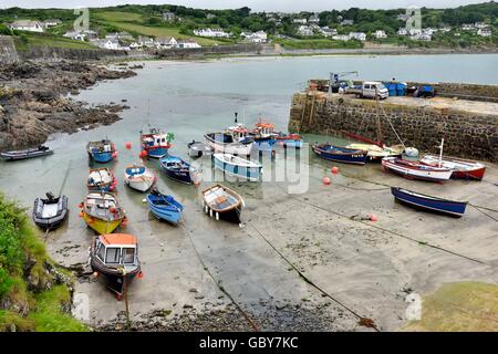 Barche da pesca a bassa marea nel porto Coverack Cornwall Inghilterra REGNO UNITO Foto Stock