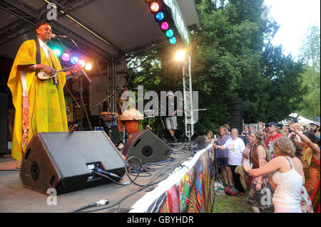 Womad Festival 2009 - Wiltshire Foto Stock