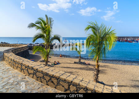 Palme sulla sabbiosa spiaggia tropicale nella città di San Juan, sulla costa di Tenerife, Isole Canarie, Spagna Foto Stock