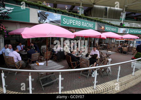 Horse Racing - commedia notte - Sandown Park Foto Stock