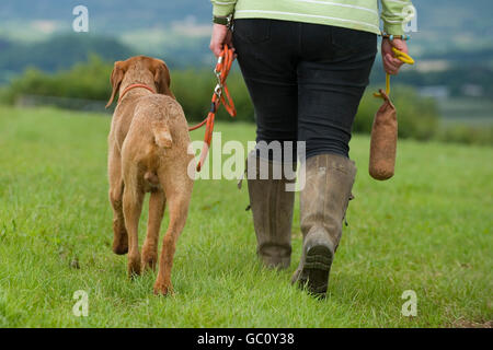 Persona insegnare a un cane a camminare con il tacco Foto Stock