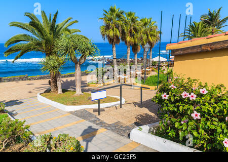 Palme e tavole di ristorante sulla passeggiata costiera in Puerto de la Cruz town, Tenerife, Isole Canarie, Spagna Foto Stock