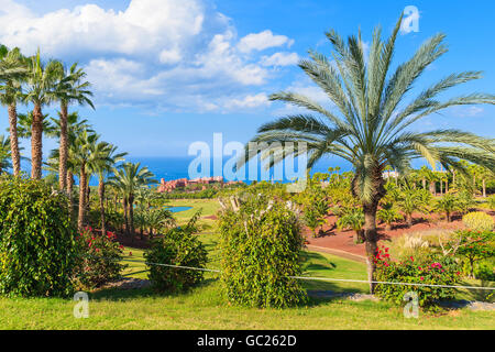 TENERIFE, ISOLE CANARIE - Nov 17, 2015: giardini tropicali di un lusso Abama Hotel che si trova su di un campo da golf a Tenerife, Foto Stock