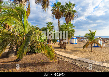 Una vista di sandy El Duque spiaggia con alberi di palma tropicali in Costa Adeje town, Tenerife, Isole Canarie, Spagna Foto Stock