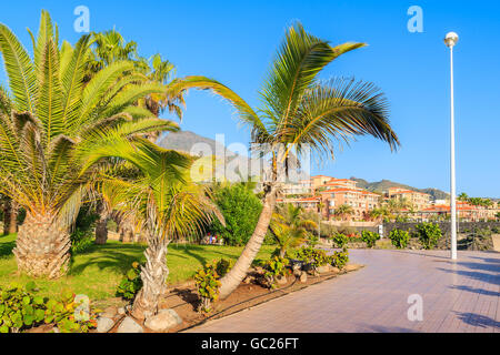 Esotica passeggiata costiera con le palme in Costa Adeje città di vacanze, Tenerife, Isole Canarie, Spagna Foto Stock