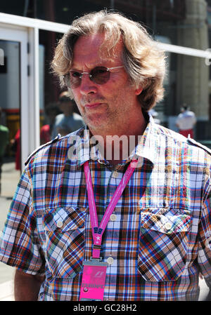 Formula uno Motor Racing - Gran Premio d'Europa - Qualifiche - circuito Valencia. Eric Clapton durante le qualifiche sul circuito di Valencia, in Spagna. Foto Stock