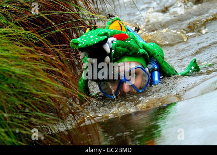Un concorrente partecipa all'annuale World Bog snorkeling Championship, Waen Rhydd Bog, Llanwrtyd Wells. Foto Stock