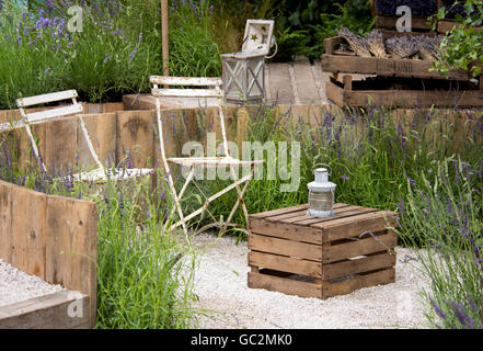 Bianco vecchie sedie da giardino in un relitto area salotto circondato da anelli di lavanda nel giardino di lavanda in estate Gardens ca Foto Stock