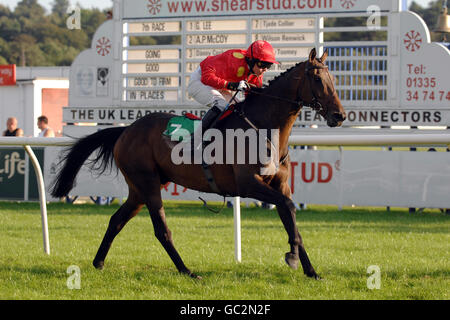 Racing - Campagna giorno - Uttoxeter Racecourse Foto Stock